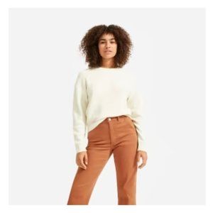 Everlane Crop Teddy Sweater (Everlane Size Medium)